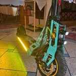 Trottinette Bison normal garantie 55km/h